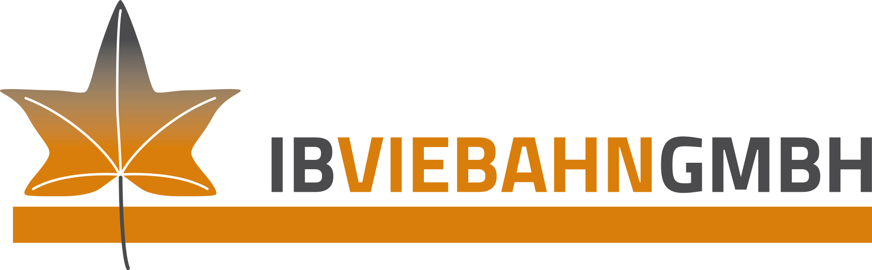 logo ib viebahn